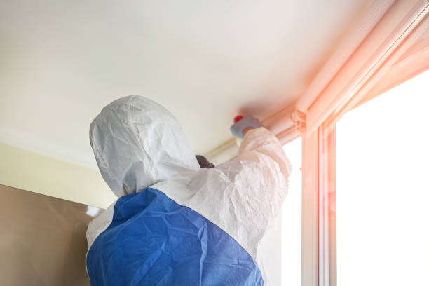 Mold Removal for HVAC Installations in Heceta Beach, OR