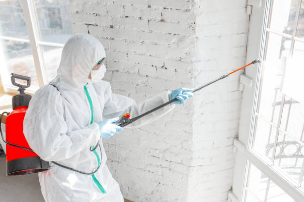 Best Attic Mold Removal  in Heceta Beach, OR